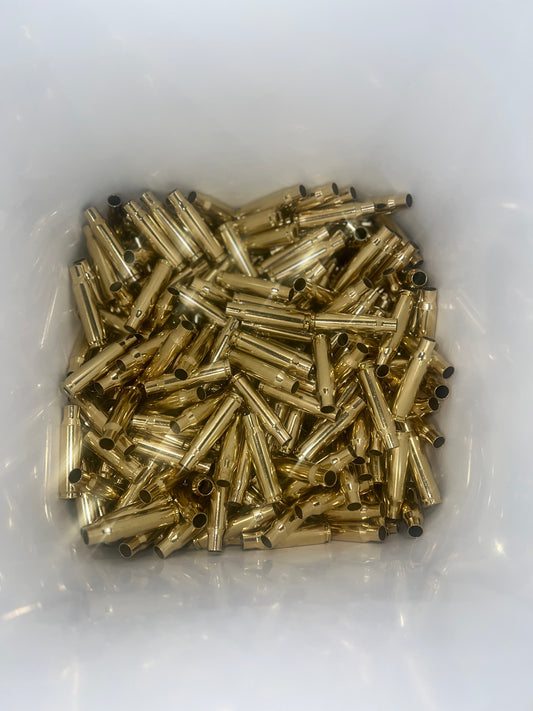 308 Win (100 CT)