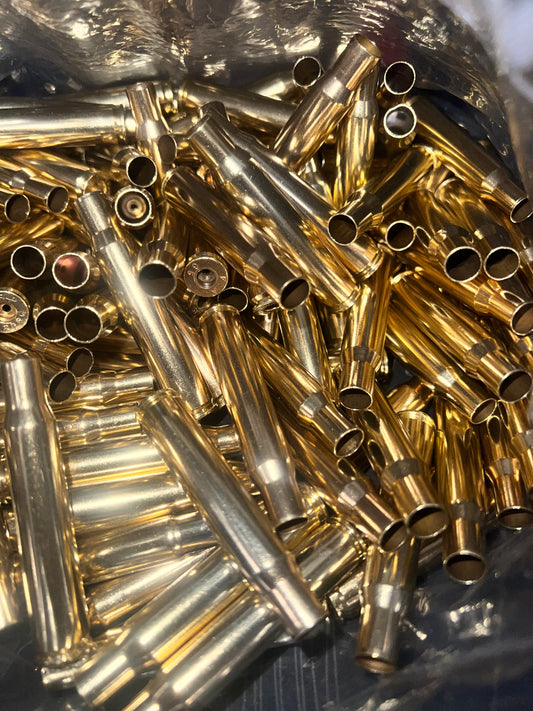 30-06 (100 CT)